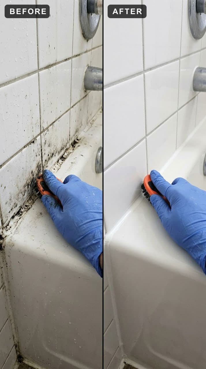 Black mold along the caulk line where tile meets a bathtub, beside the same seam cleaned white